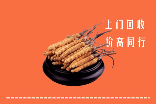 高价求购：锡林郭勒正蓝旗回收散虫草