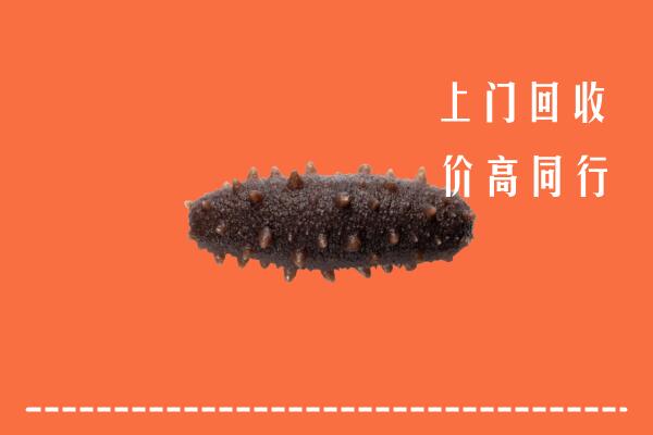 高价求购：锡林郭勒正蓝旗回收海参