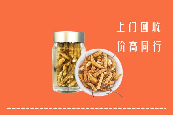 锡林郭勒正蓝旗回收冬虫夏草